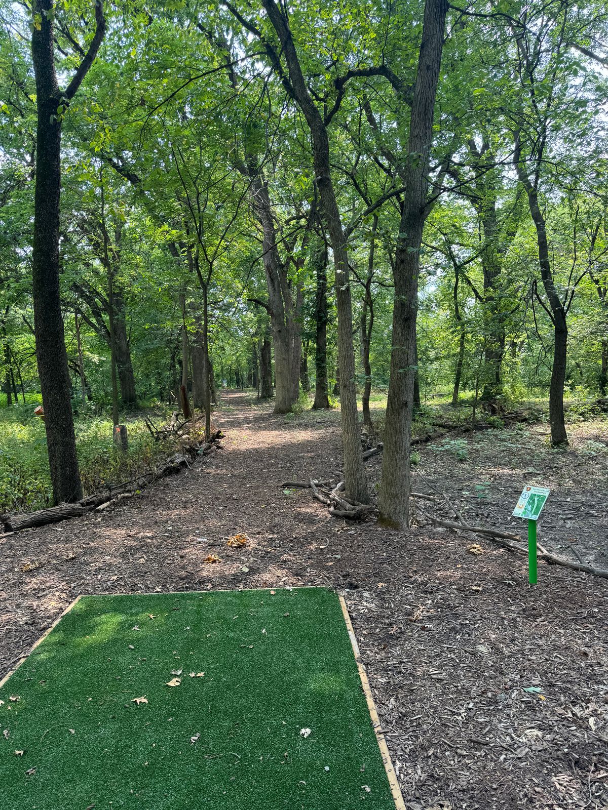 Hole 1 tee