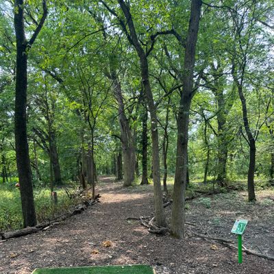 Hole 1 tee