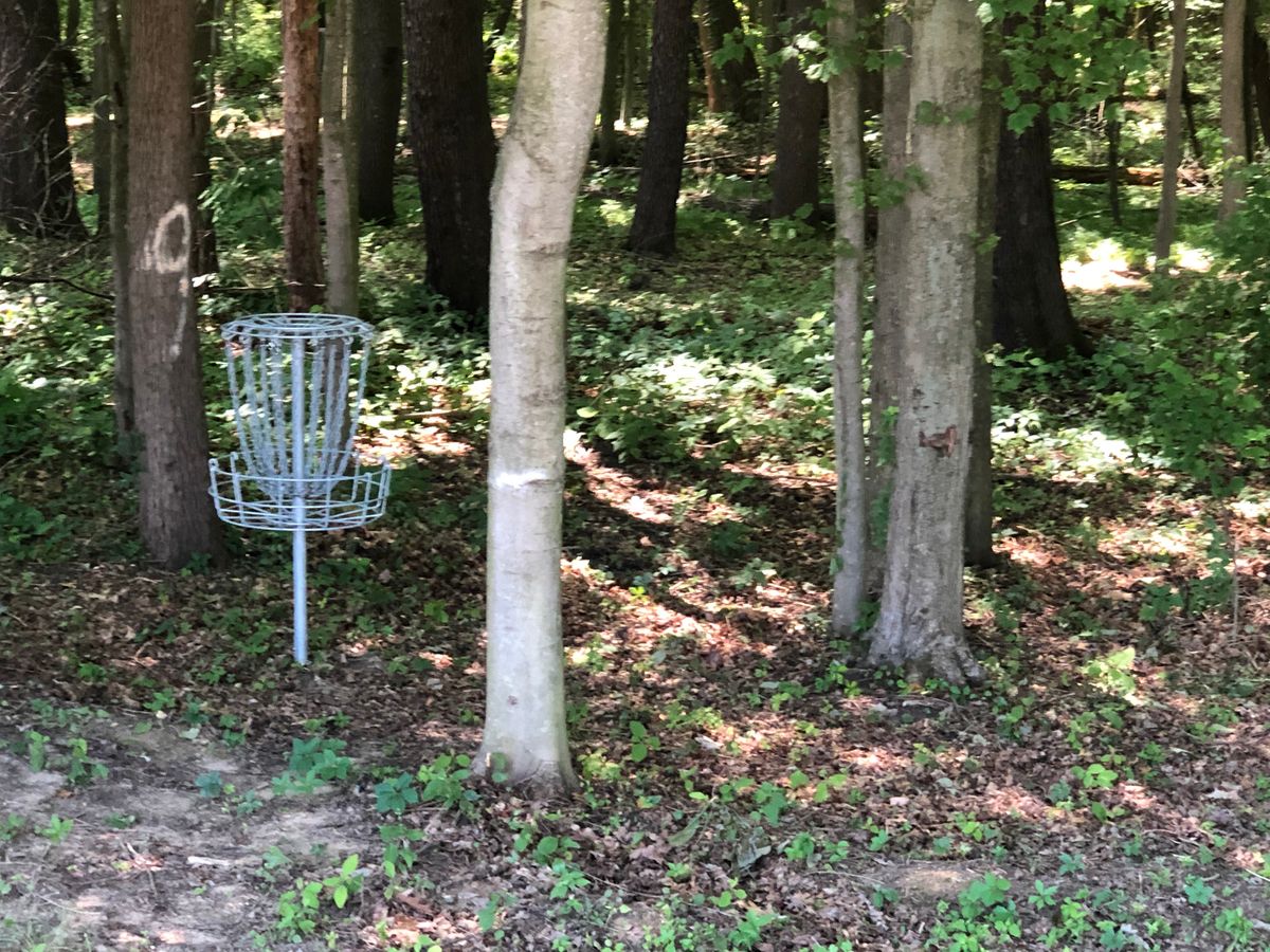 9’s target