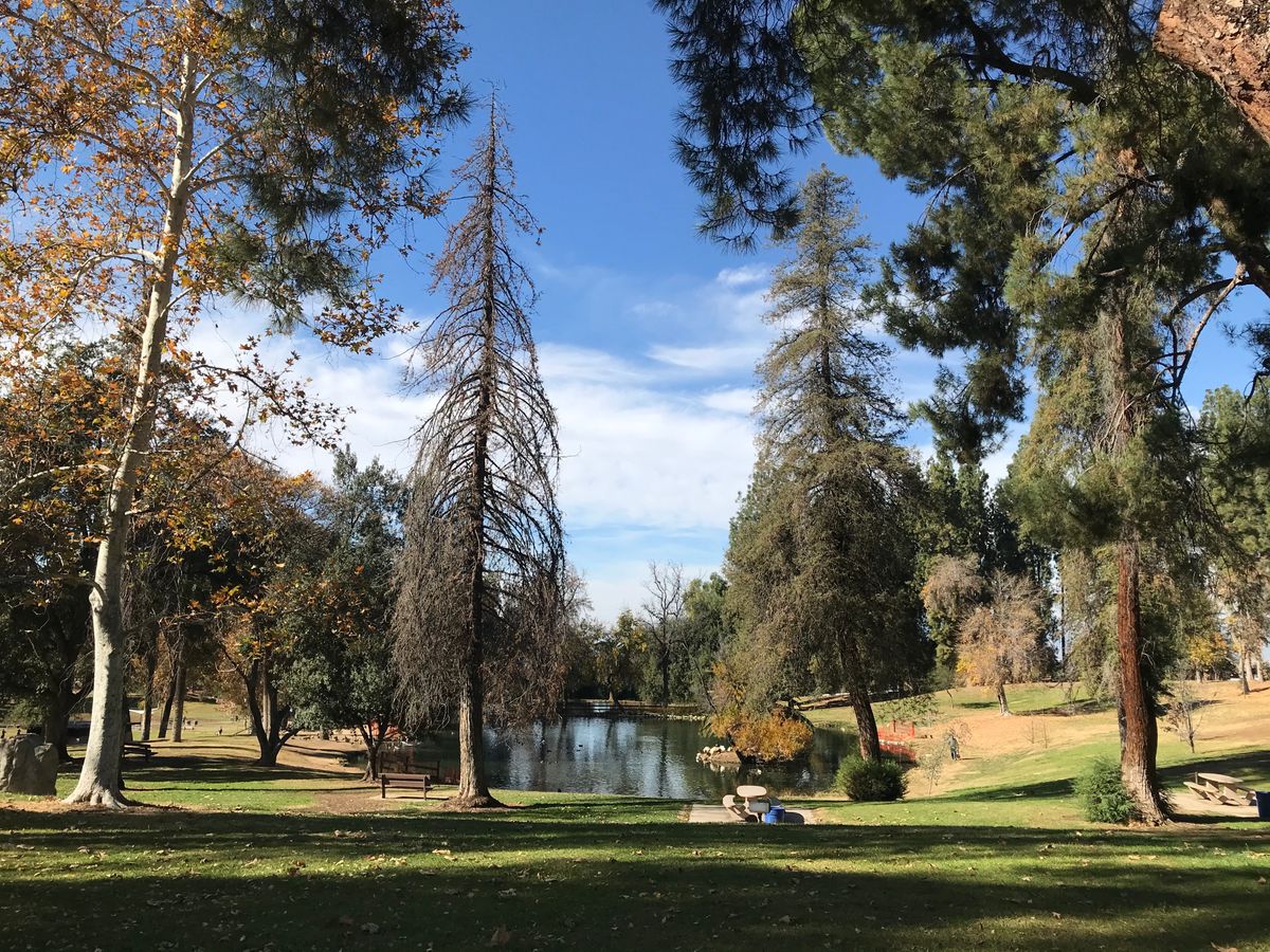 Beautiful park