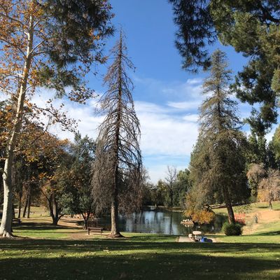 Beautiful park