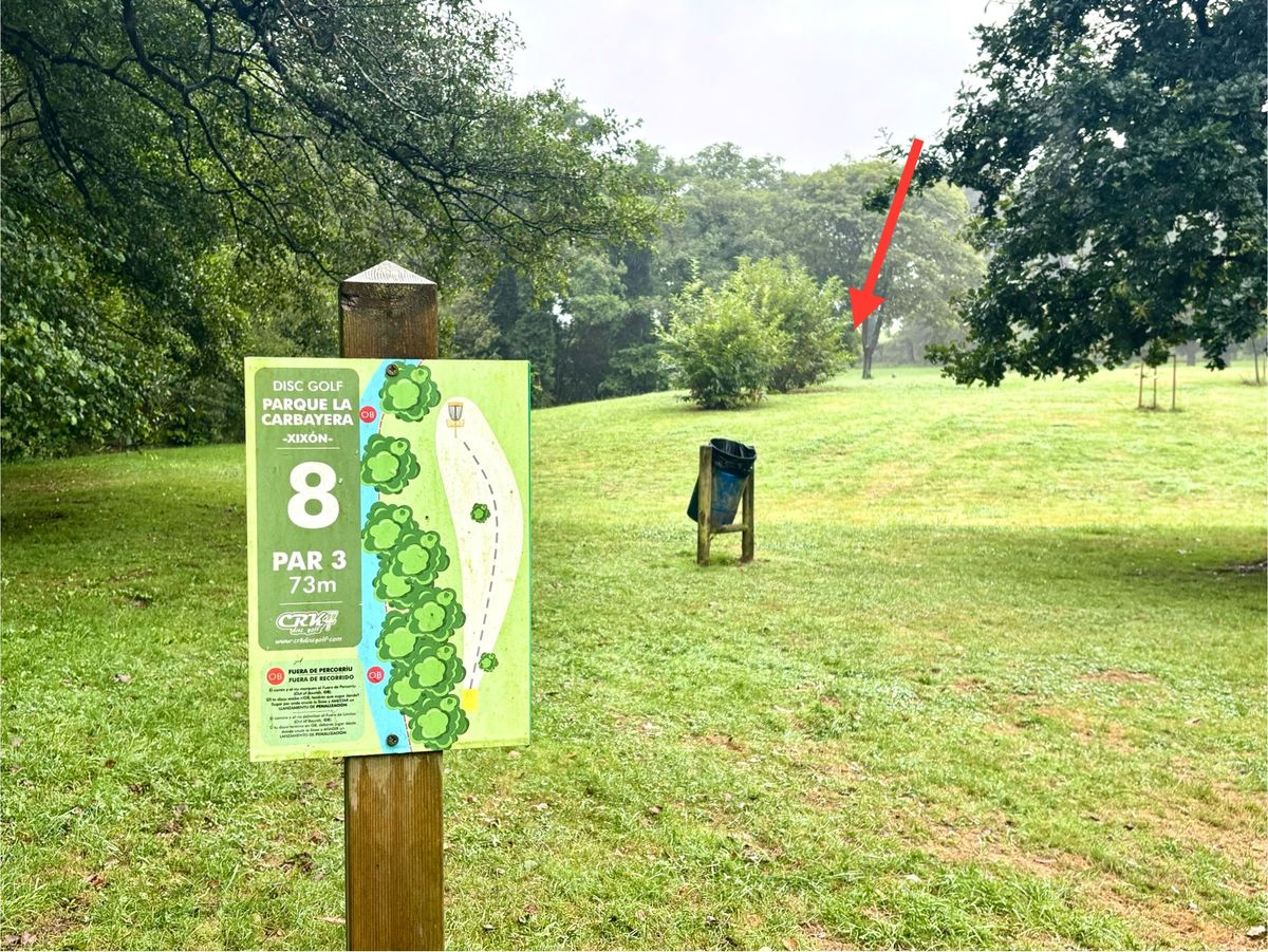#8 / basket location (arrow)