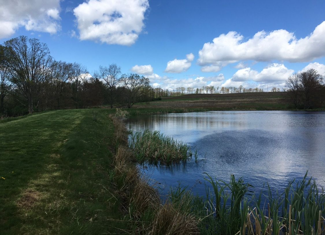 Fairway to hole 12