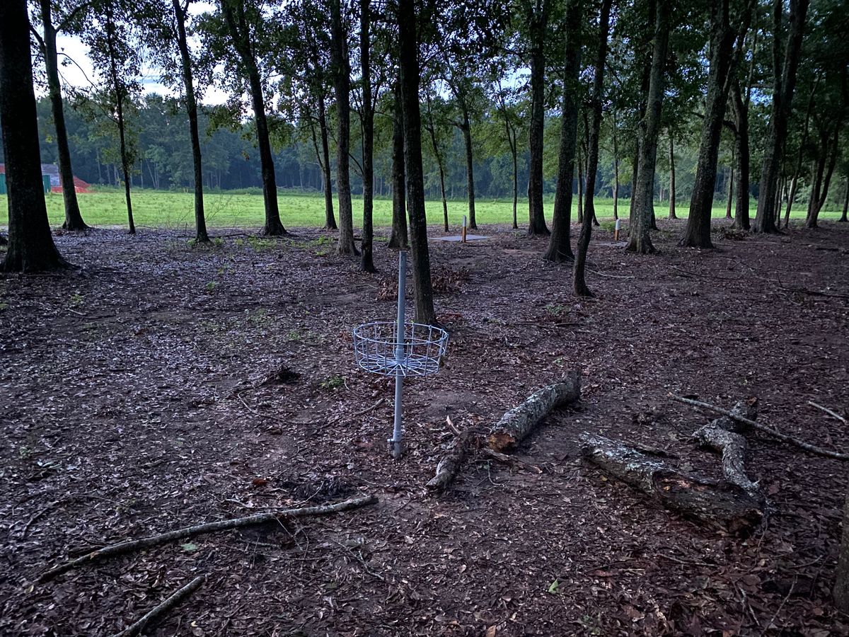Broken basket 7