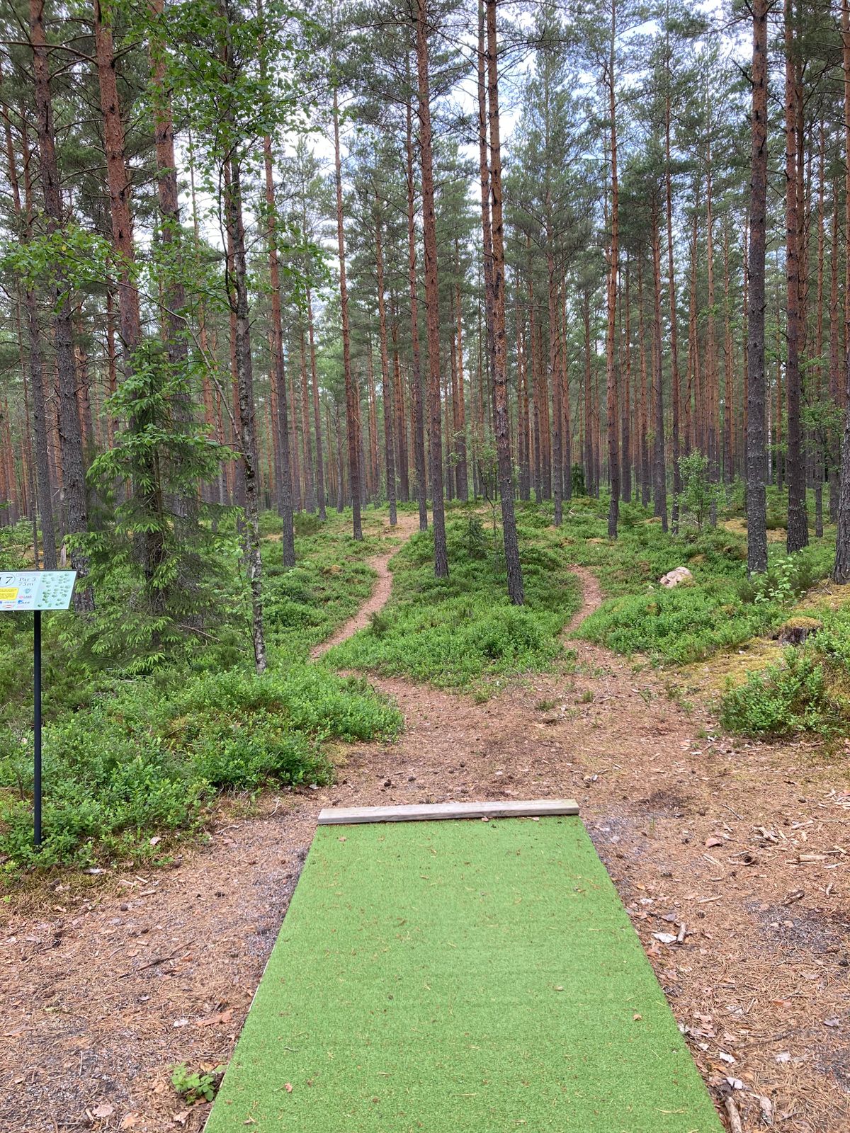 Tee hål 17