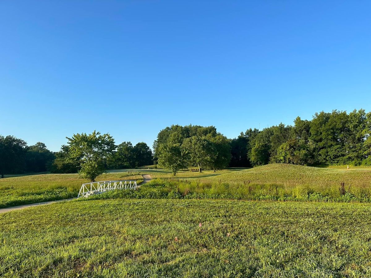 Bridge to hole #8