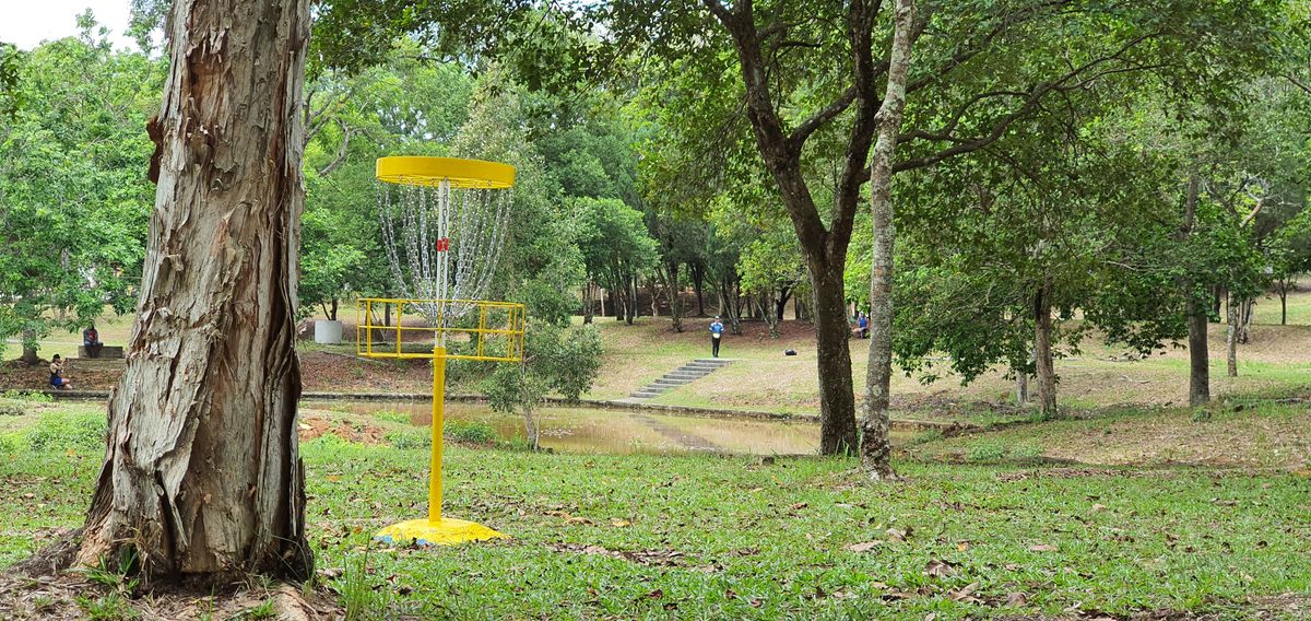 Hole #8