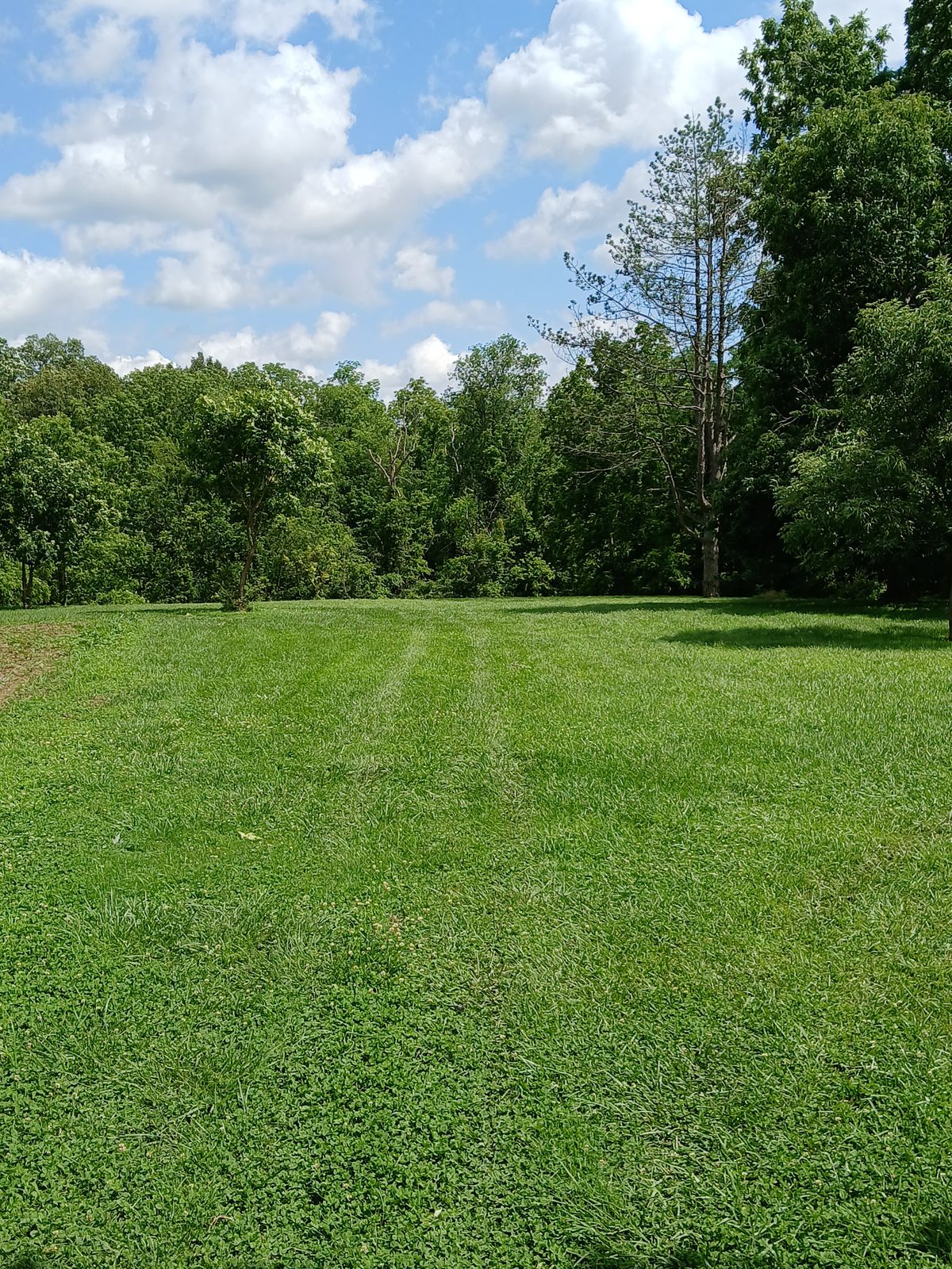 Hole 8 Tee