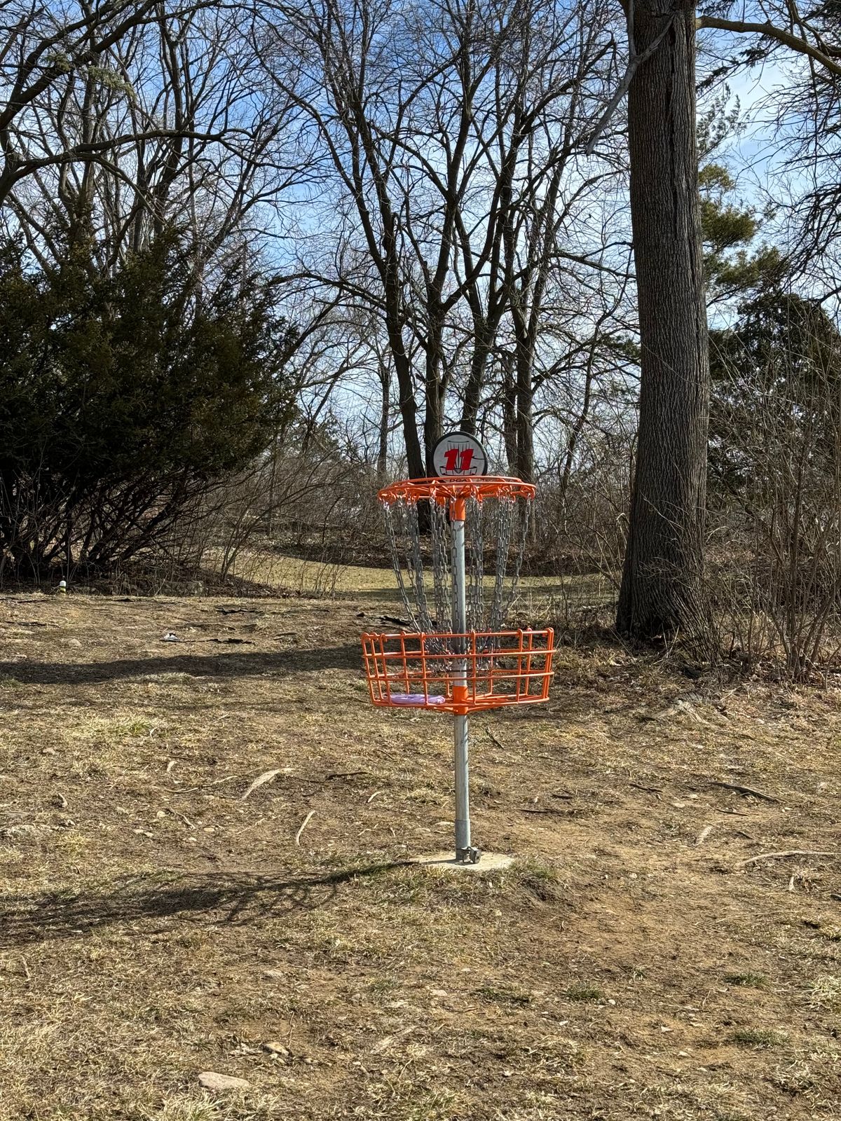Hole 11 Basket