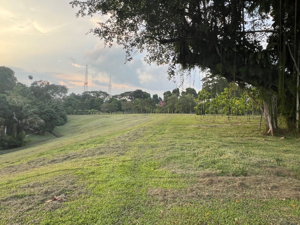 Hole 13 fairway looking at the green in the distance from mando tree.