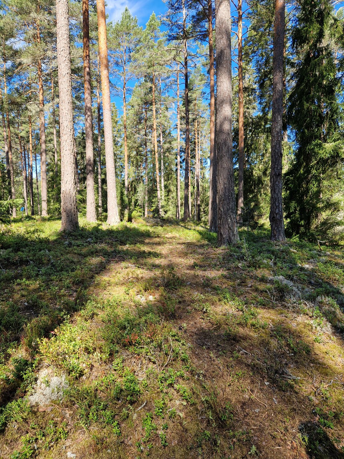 Hål 5