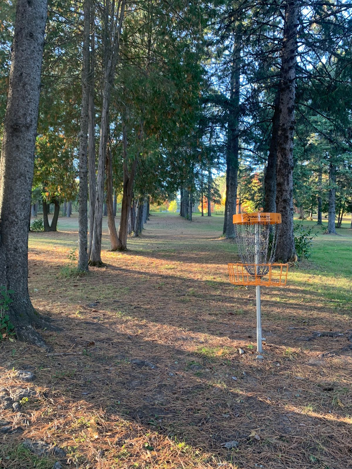 View of hole 6 basket looking back towards the tee area.