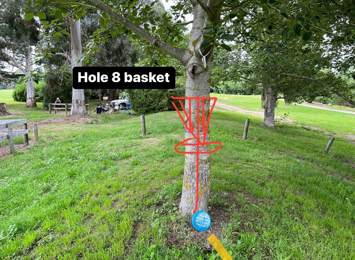 Hole 8 basket