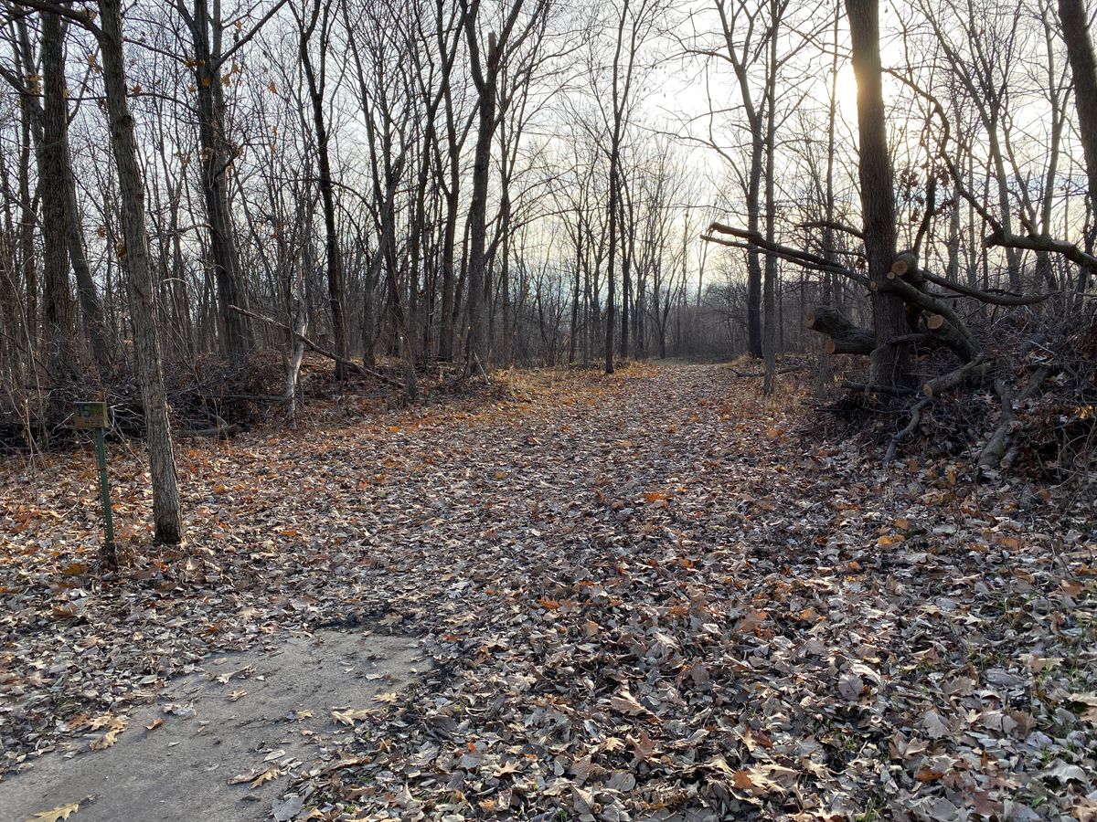 Hole 15 long pad.