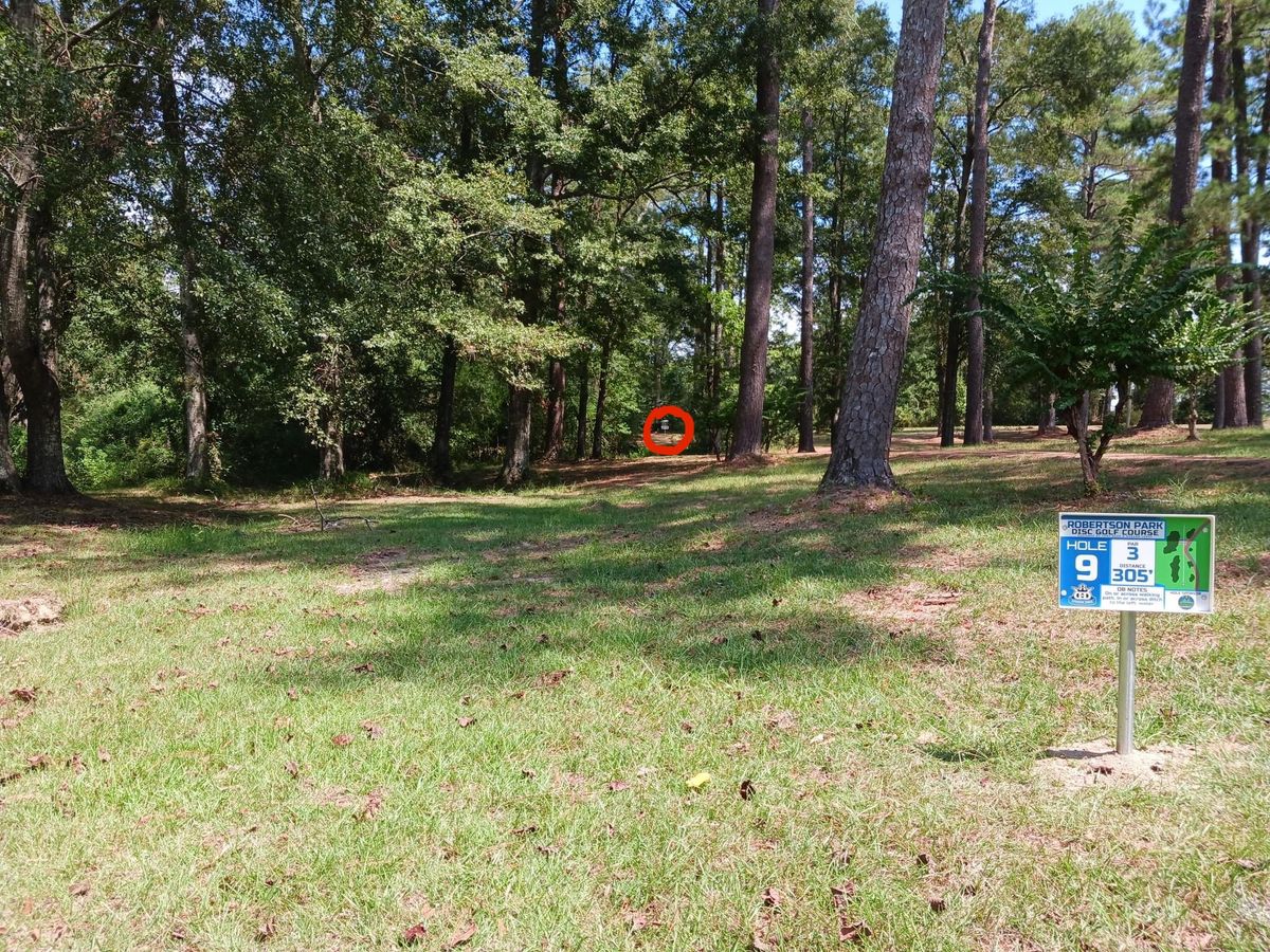 Hole 9 basket