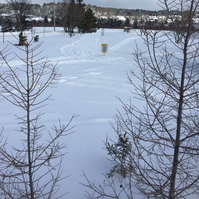 Groomed after the storm while mild. Packed like a road now, good waking.