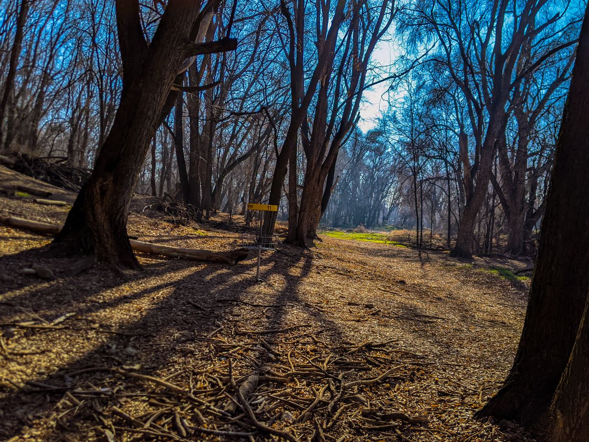 Hole 11 @ Art Dye