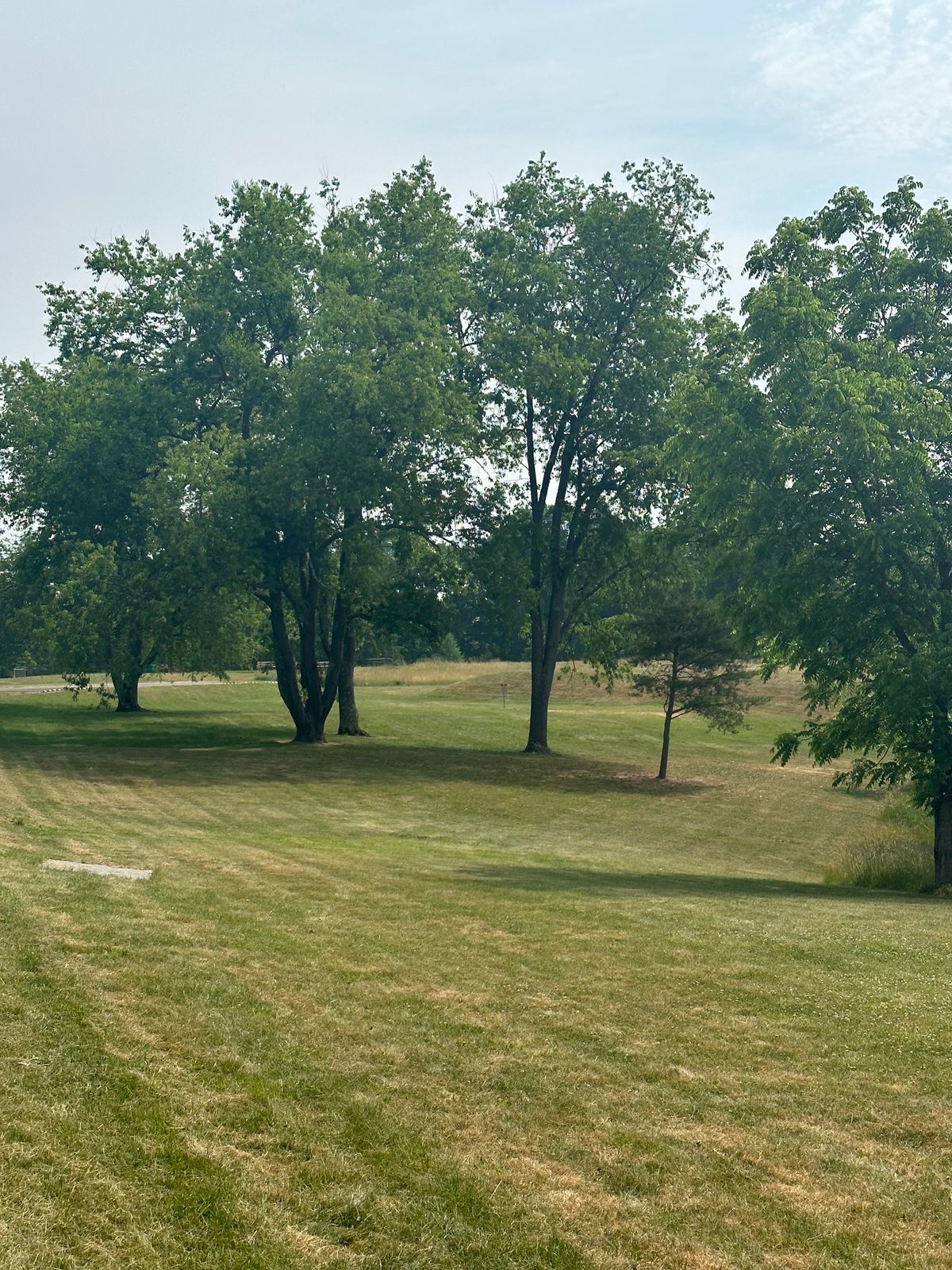 #15 long tee