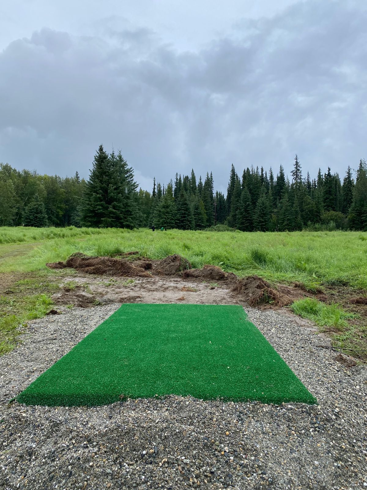 Hole 8 tee pad, basket located behind two spruce trees in the distance