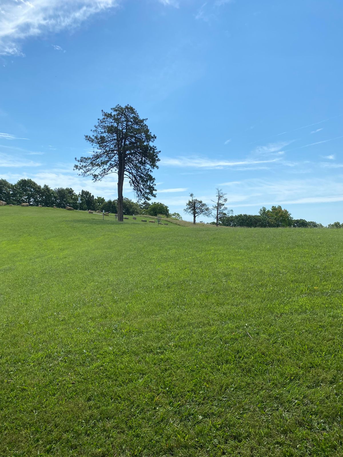 Hole 4 Mid-Fairway