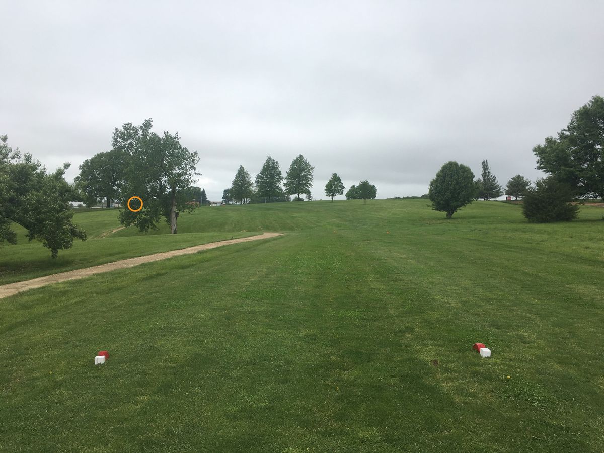 Hole 11 from the tee box