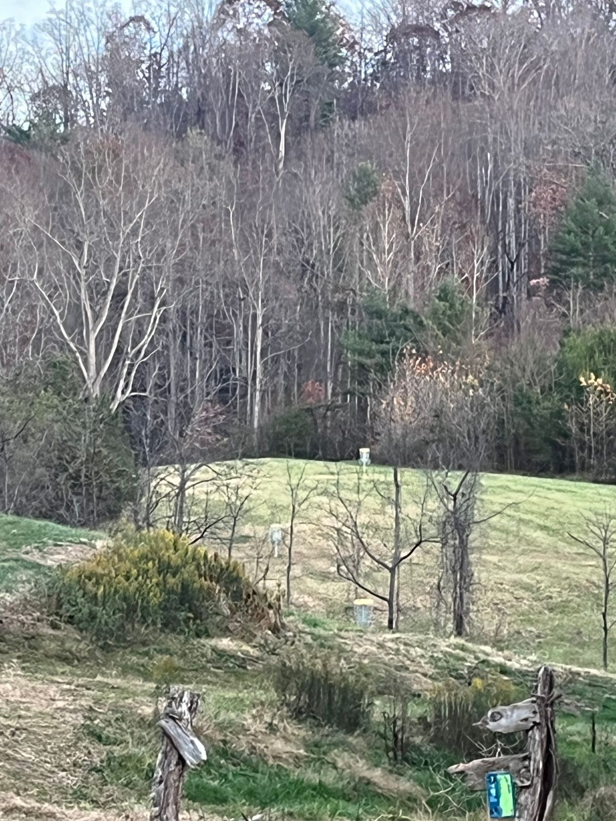 From T-pad 7. Baskets 17, 14 & 16.