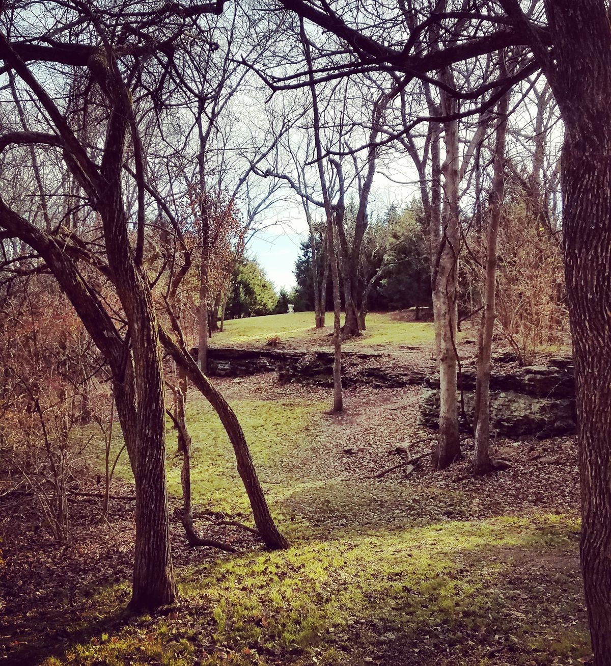 Hole 3