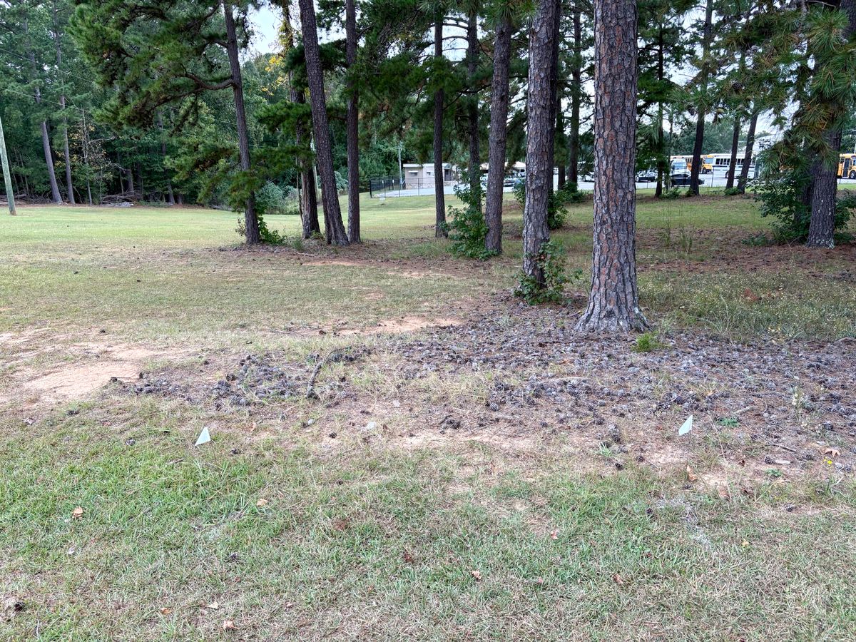 Hole 7 tee