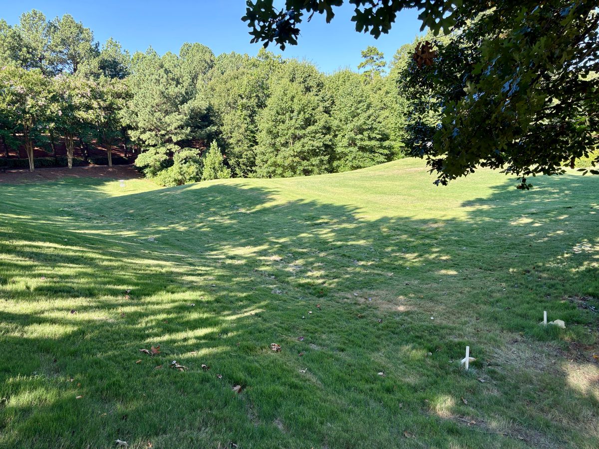 Hole 5 tee