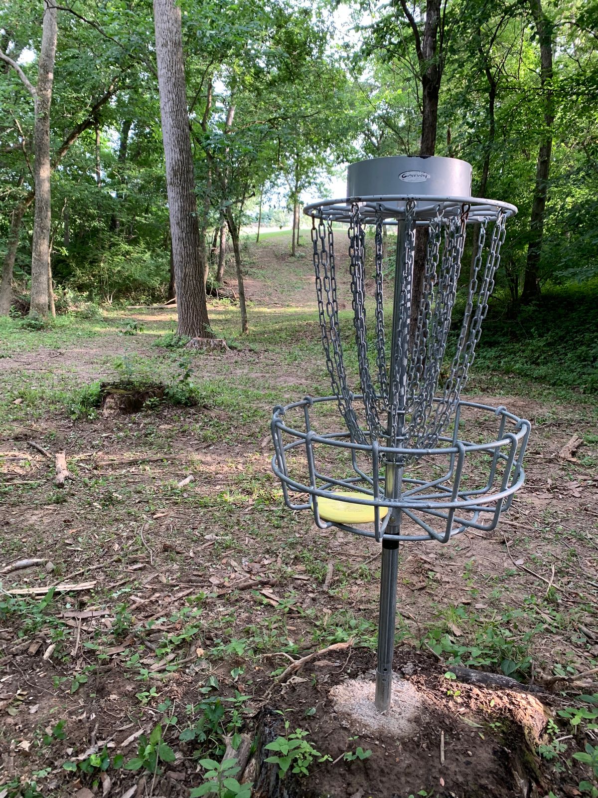 Behind basket back towards fairway. 