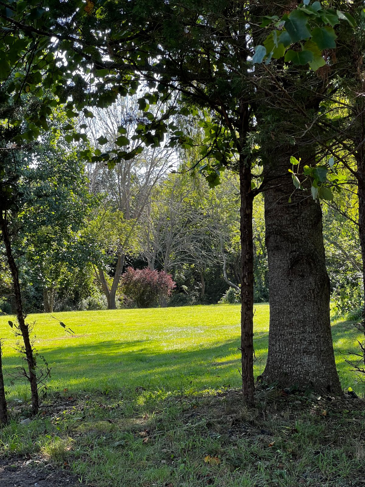 Hole 10 White