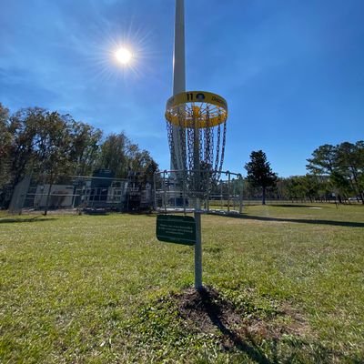 Hole 11 basket.