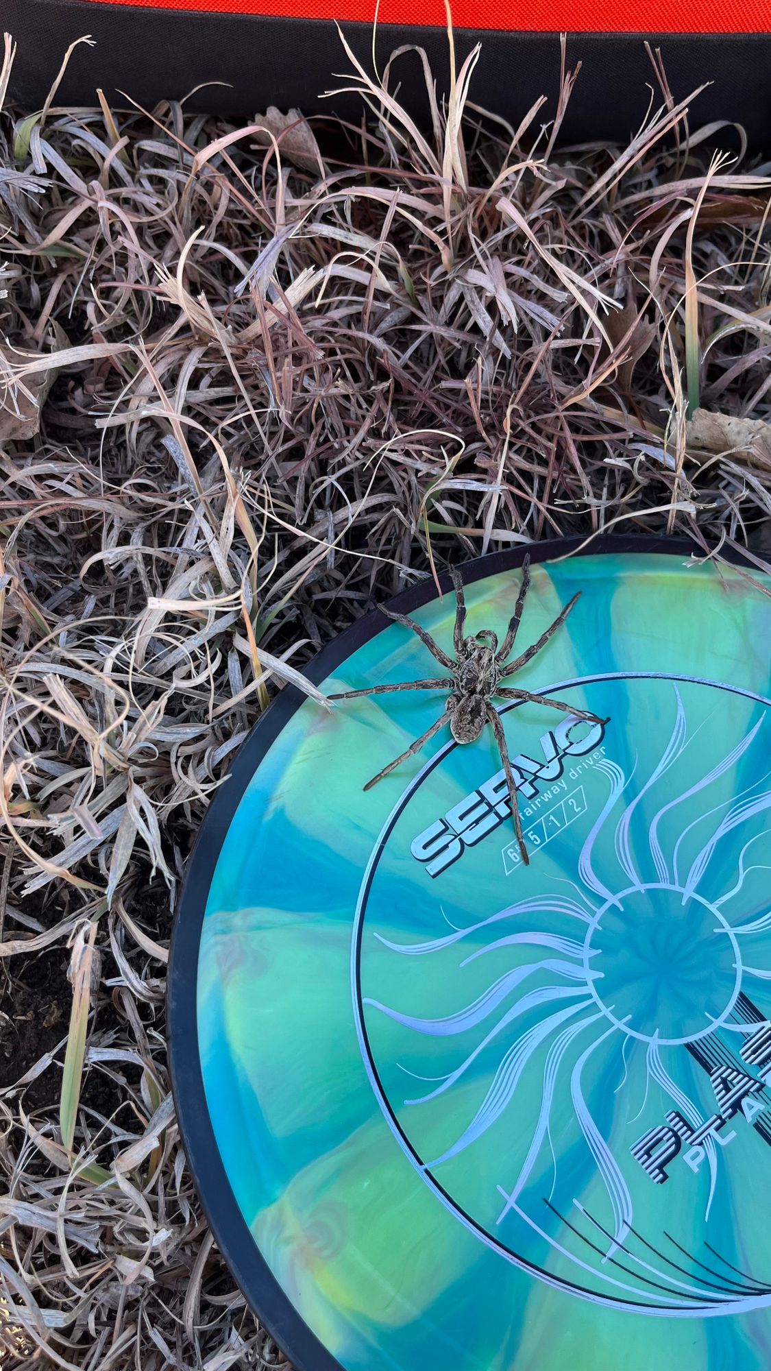 I almost let him keep my disc!!😀