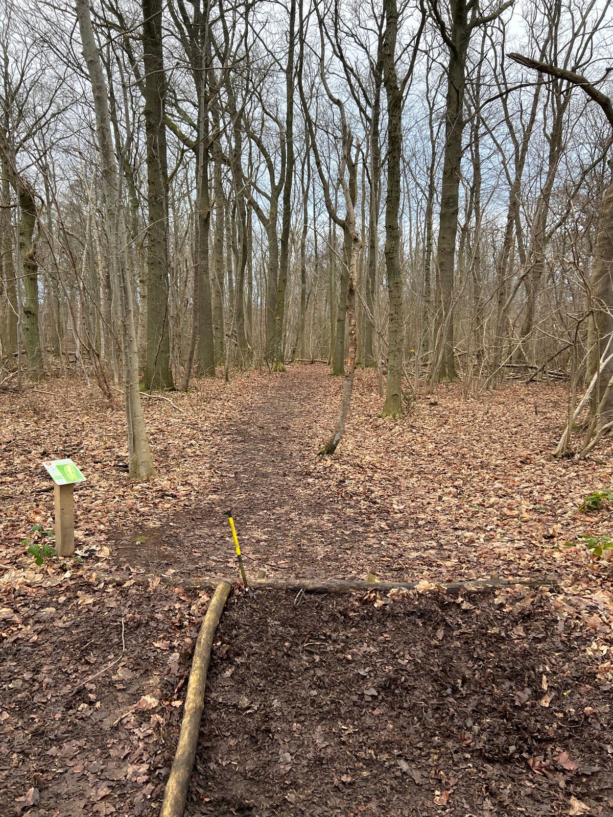 Hole 5
