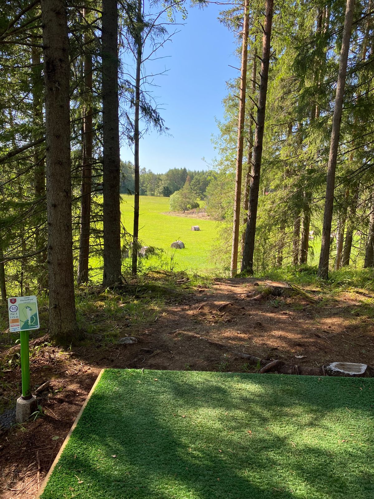 Hole 15