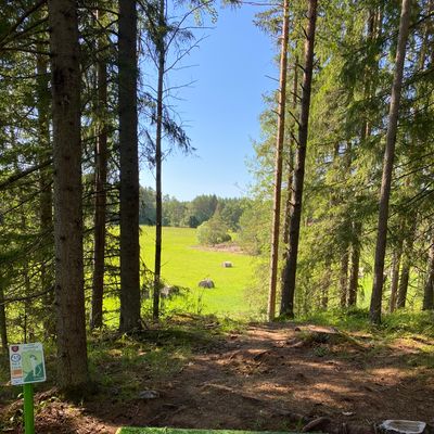 Hole 15