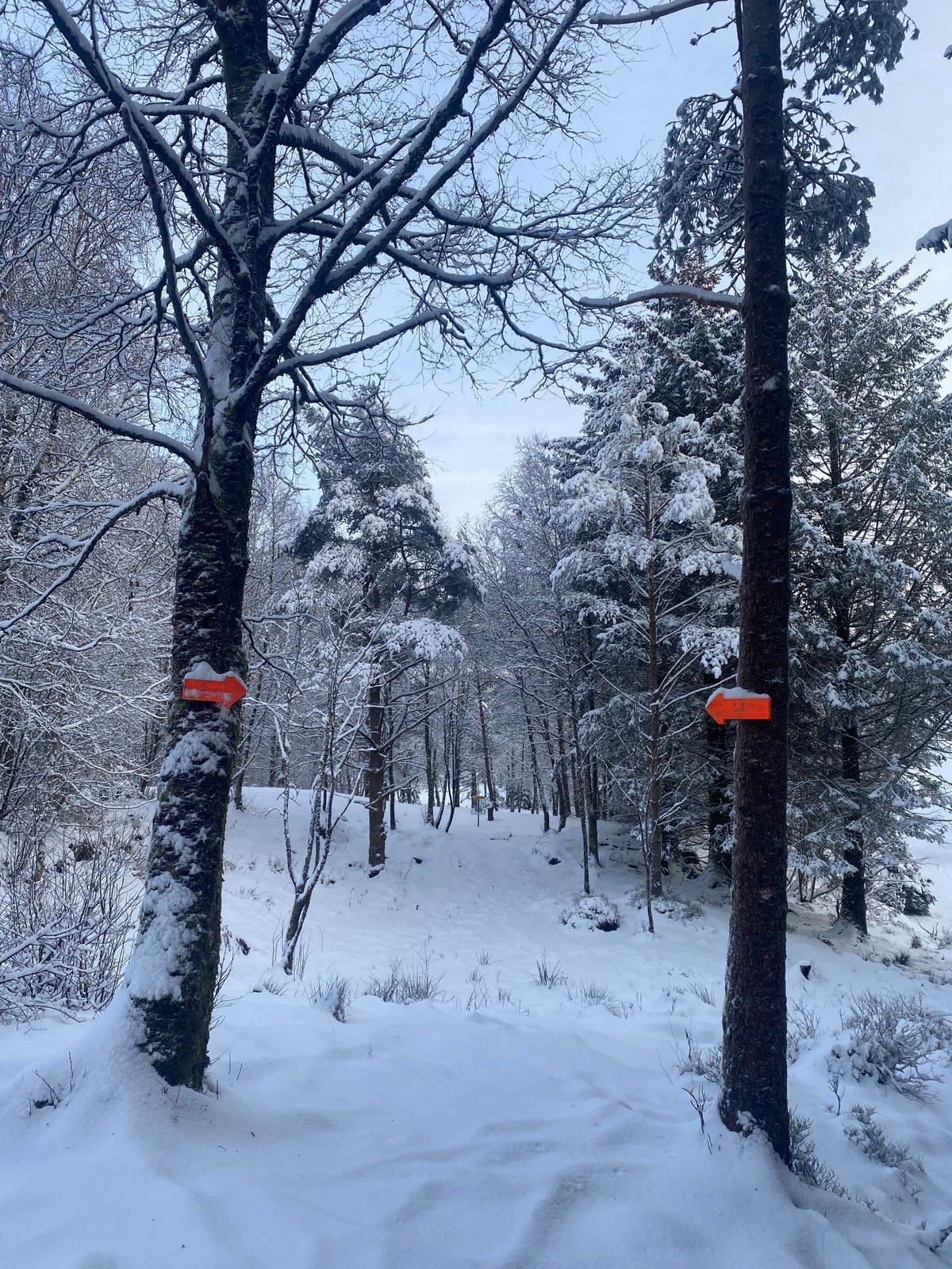 Double mando at 14 in diffficult (but beautiful) winter conditions