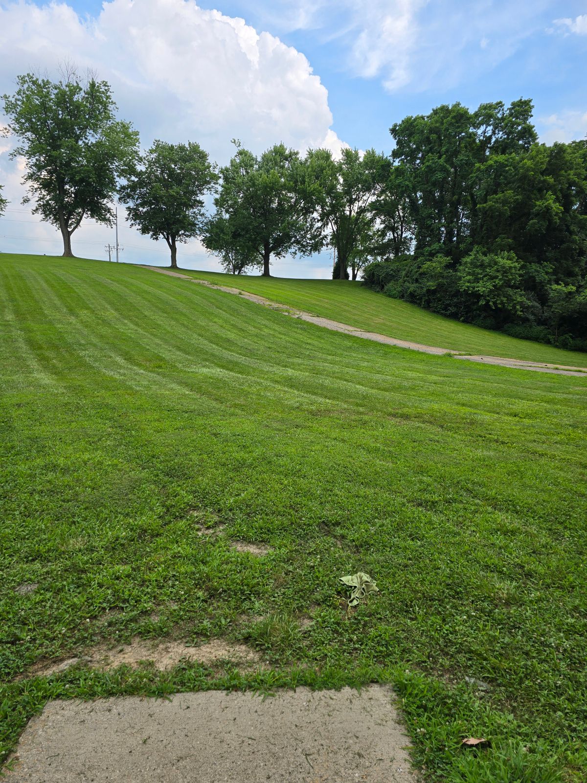 Hole 5 tee