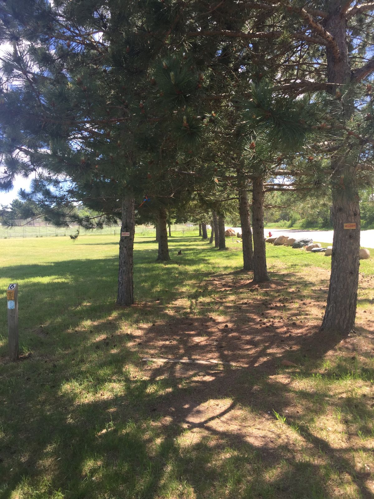 Alternate Hole #6 (Rec Pad/used when the field is occupied)