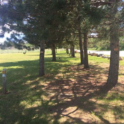 Alternate Hole #6 (Rec Pad/used when the field is occupied)