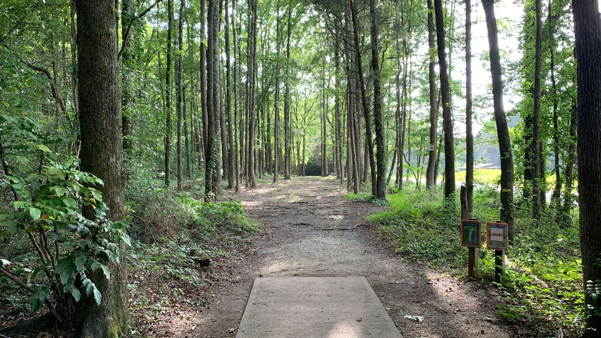 Hole 12