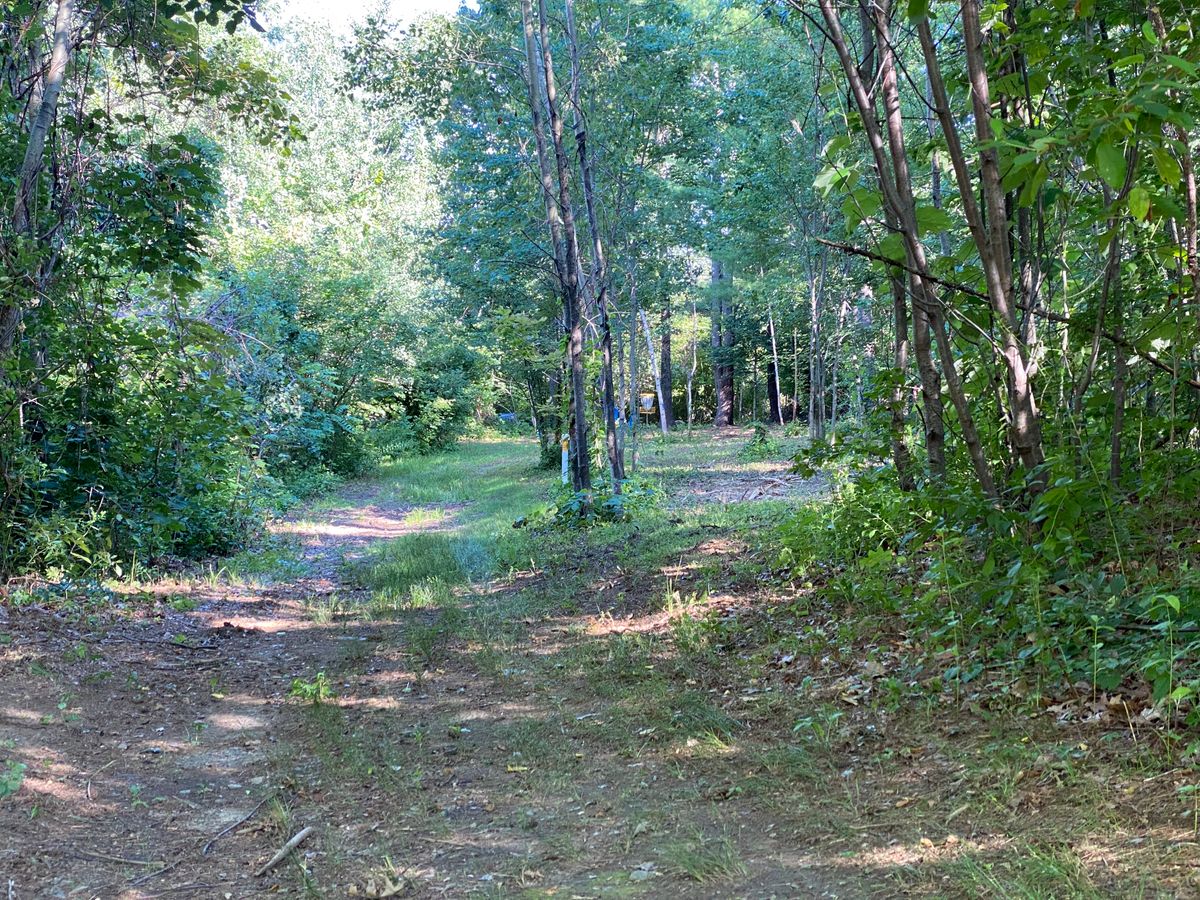 Hole 3