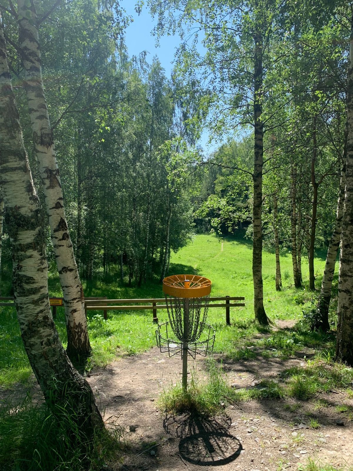 Hole 6