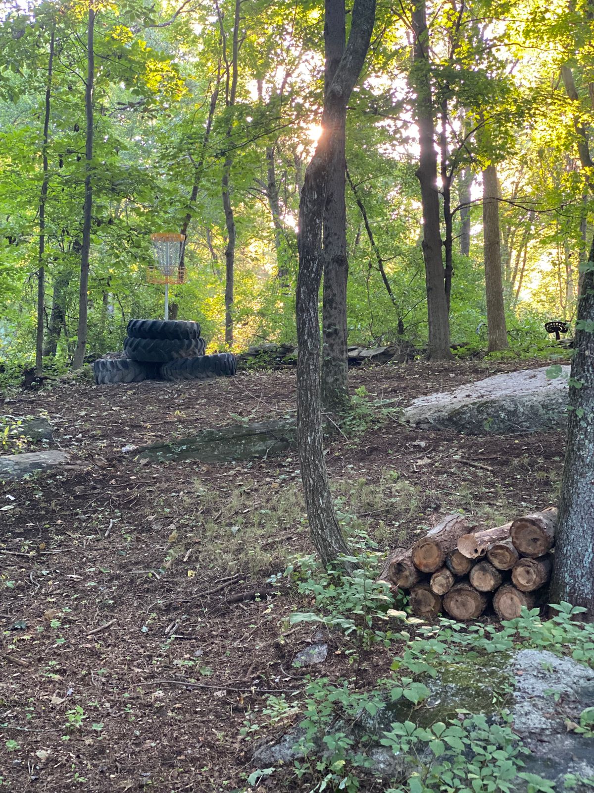 Hole 3