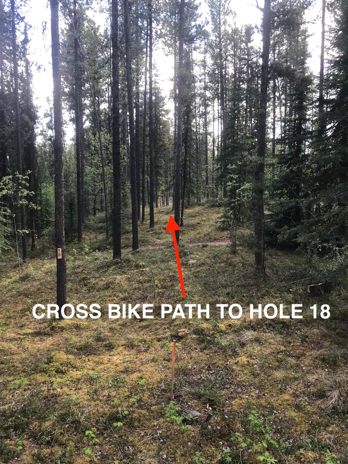 Path to 18