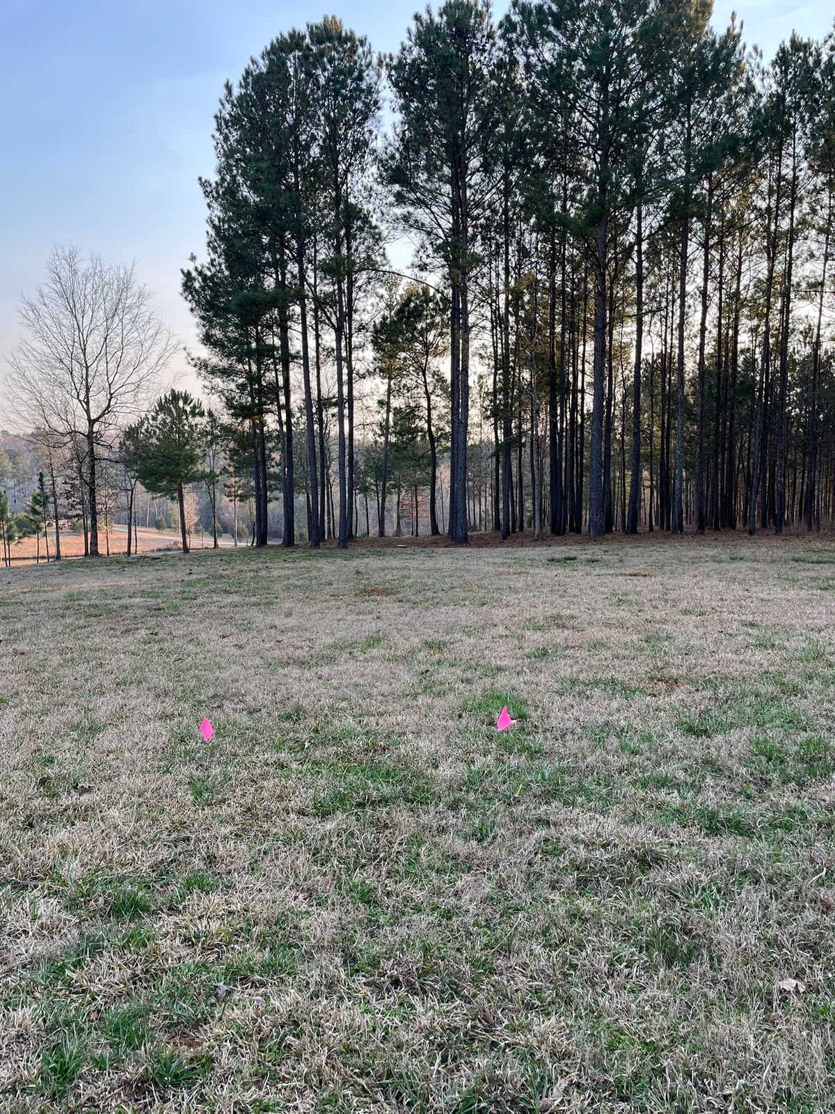 Hole 7 - tee to basket