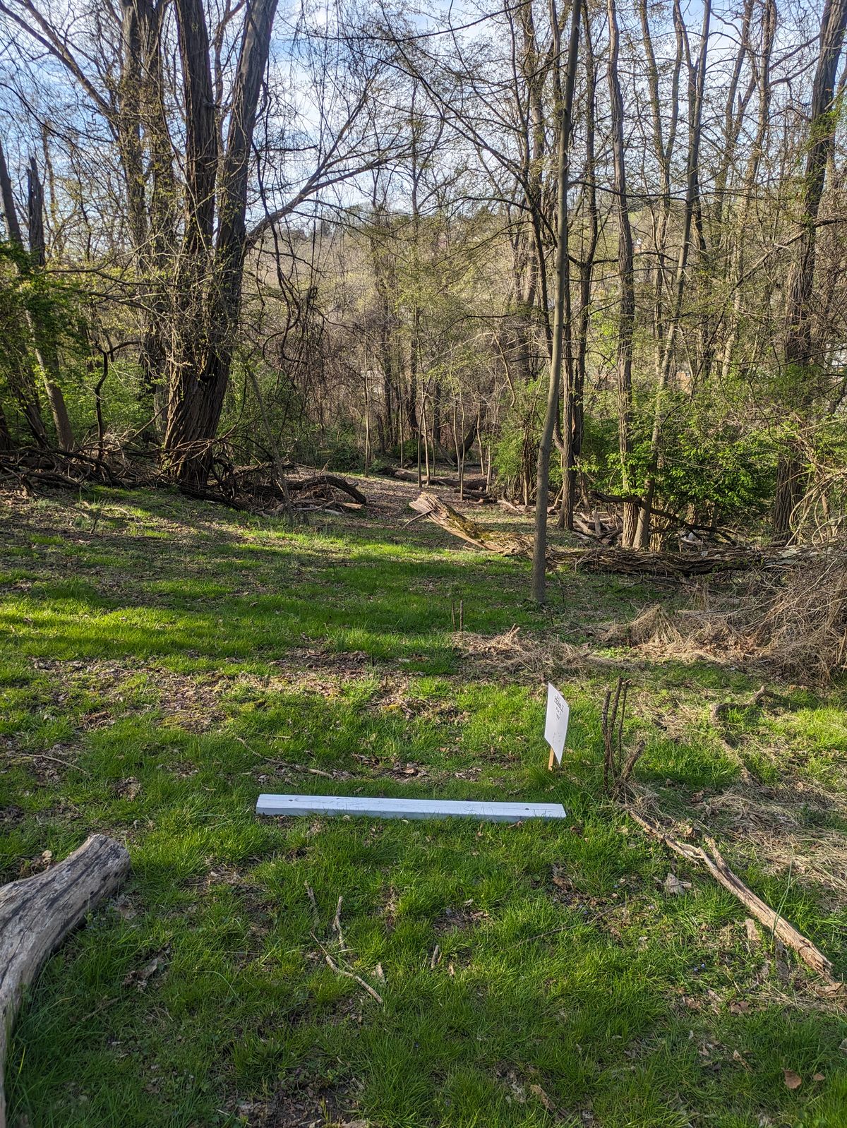 #7 tee (2nd half of old #1)