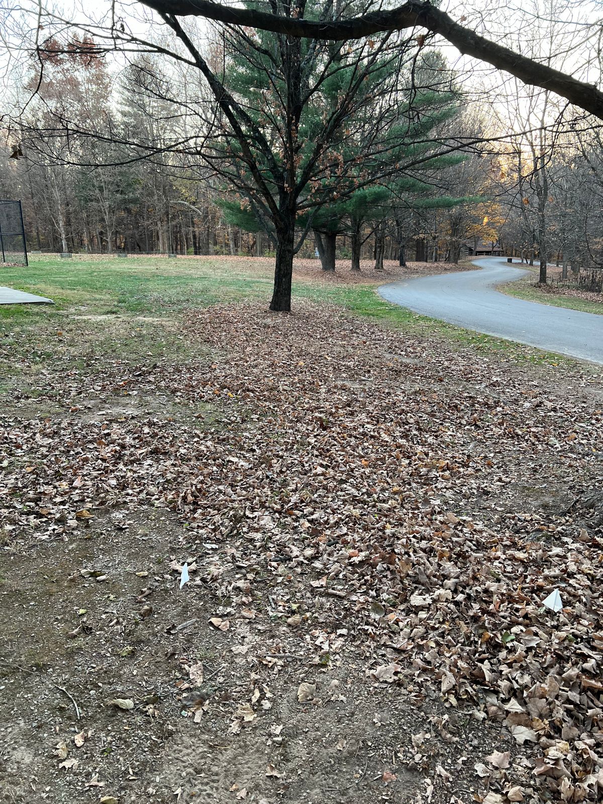 Hole #5