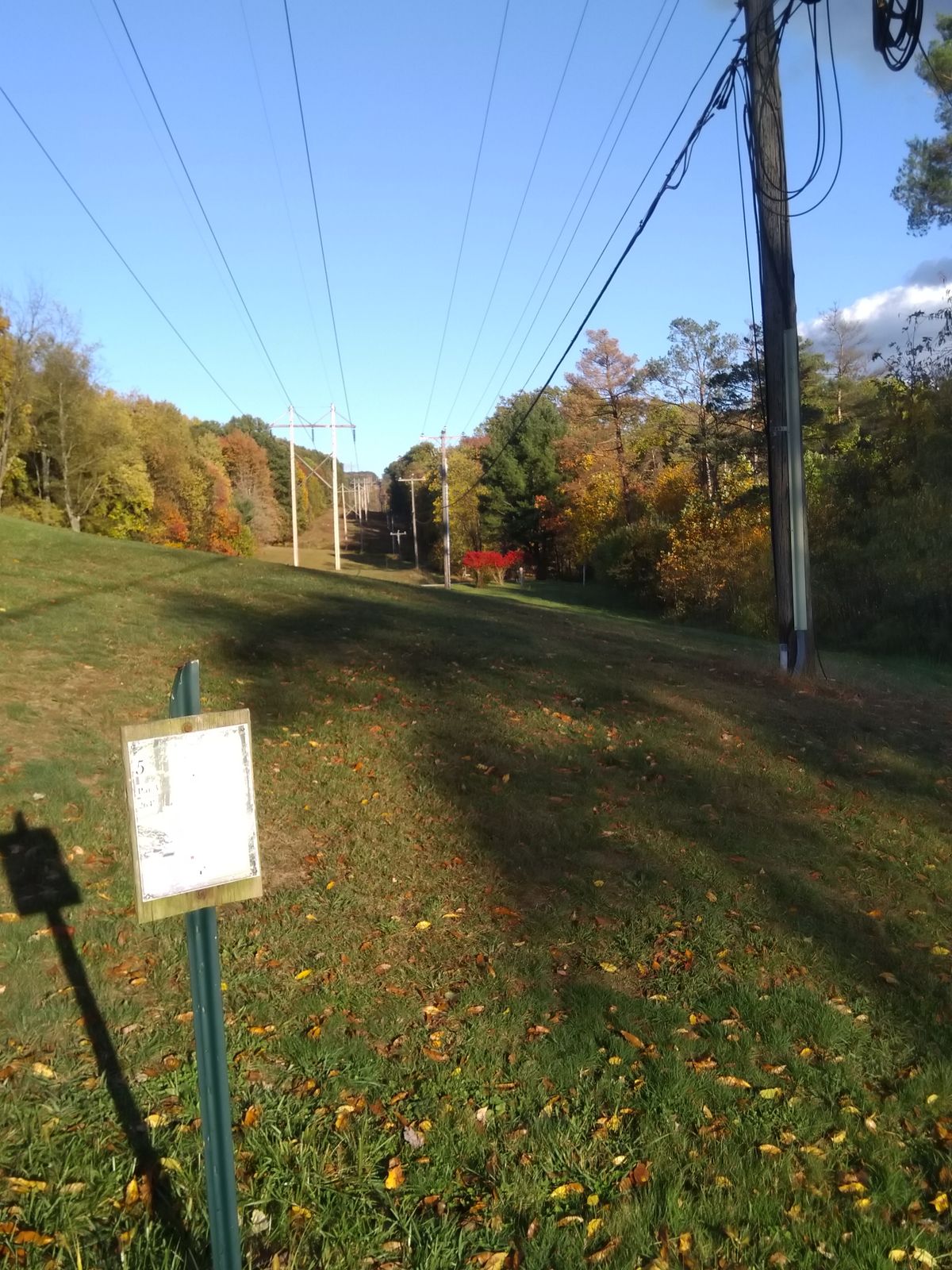 Hole #5 tee