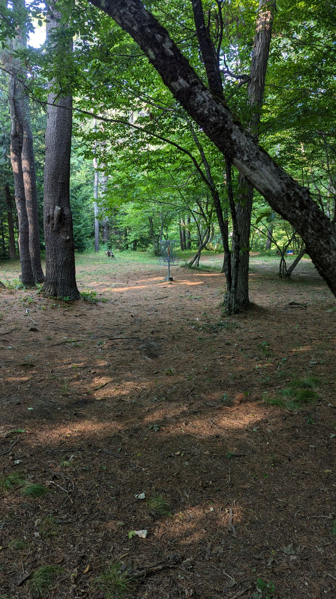 Hole 5 | Pin 2, 40' short right
